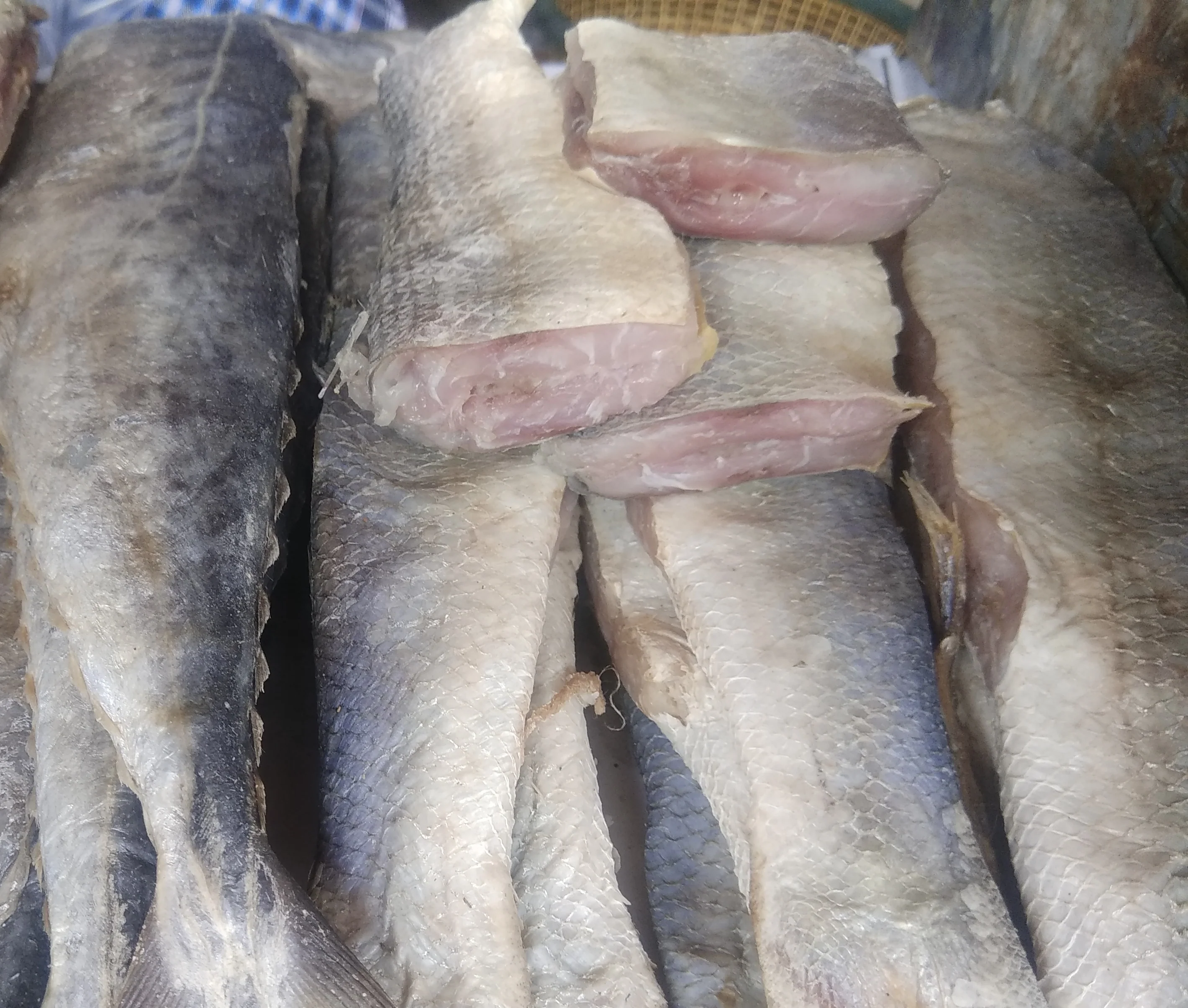 Premium Tasty Vanjaram/surmai Dry Fish – Traditional Karuvadu with Authentic Taste - Image 3